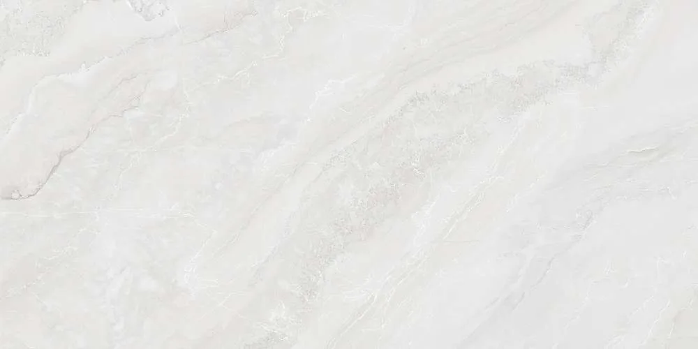 Gạch Viglacera SH-GP4801 — ảnh sản phẩm 1