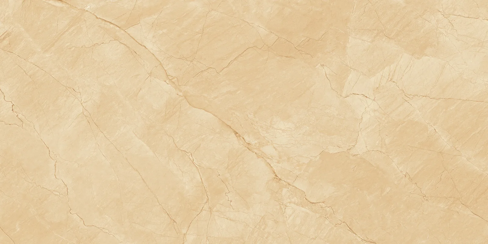 Gạch Ý Mỹ P6128011C