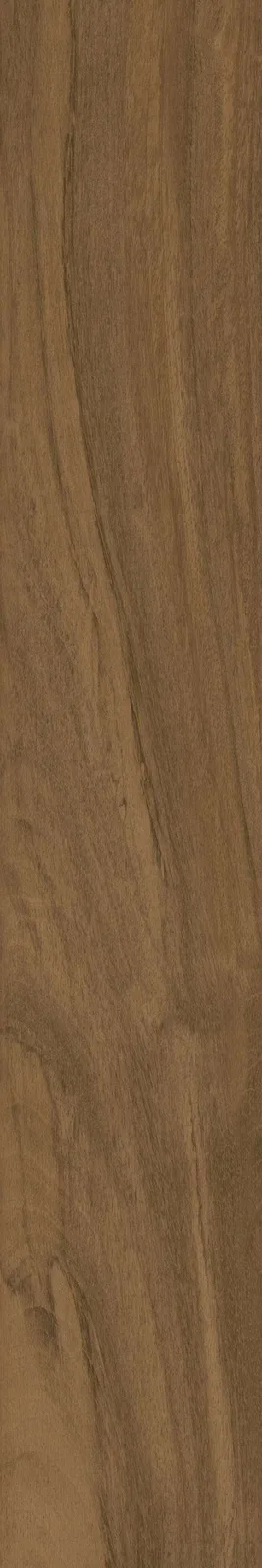 Gạch Viglacera PT-21205-T2 — ảnh sản phẩm 1