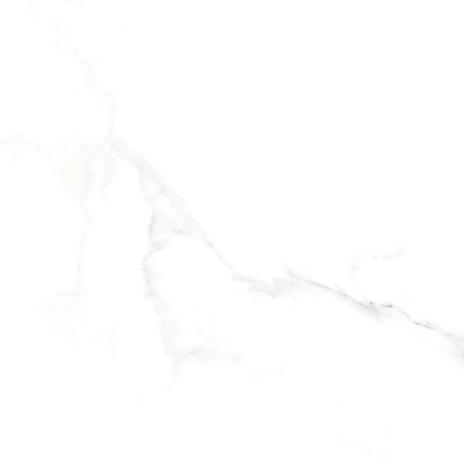 Gạch Ý Mỹ EN89005R